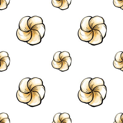 Frangipani Flower by 