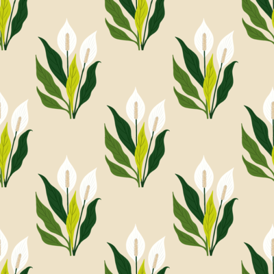 Peace Lily Elegance by 