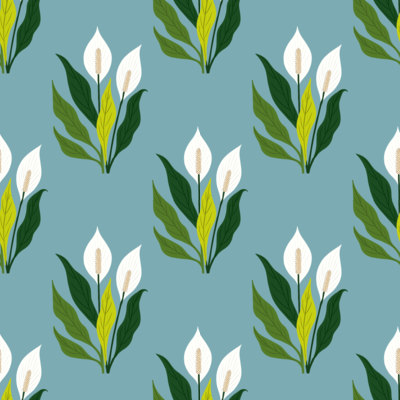 peace-lily-blooms by fabzure