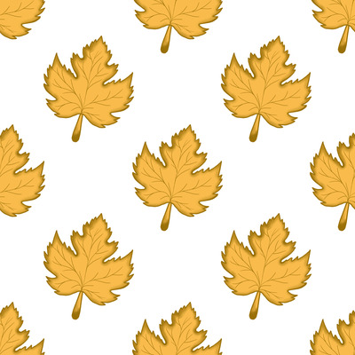 Classic Maple Elegance