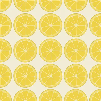 Zesty Lemon Slices by 