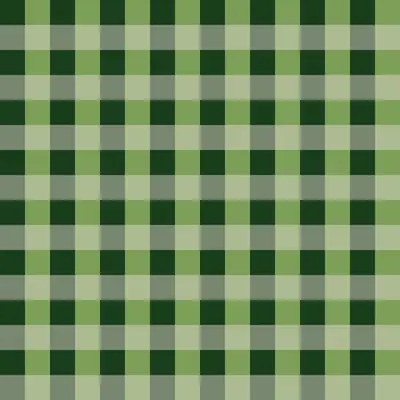 Olive Gingham Classic by 