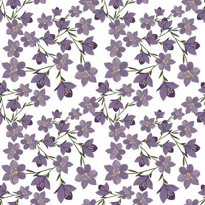 Lavender Bloom Trail by 