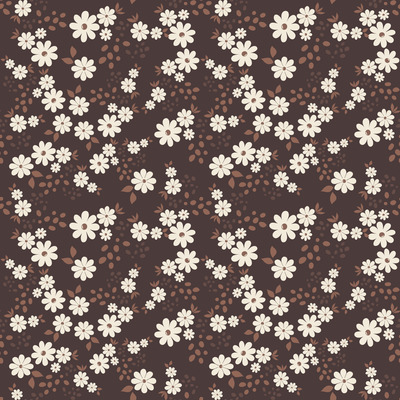 Chocolate Daisy Elegance