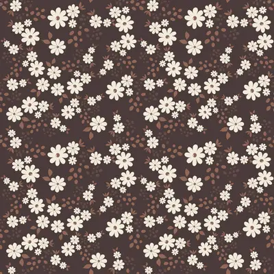 Chocolate Daisy Elegance