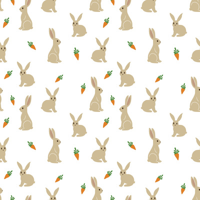 Carrot Bunny Delight