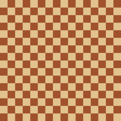 Rustic Checkerboard Charm